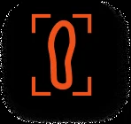 icon scan
