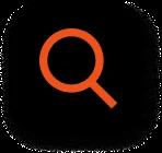 icon search